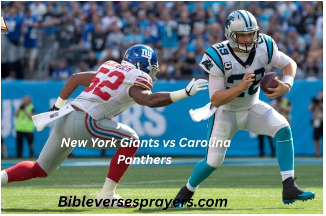new york giants vs carolina panthers match player stats